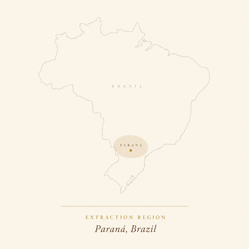 Map of Brazil highlighting Paraná where white marble is quarried